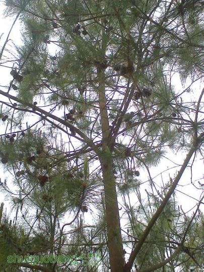 Ƭ0727.jpg
