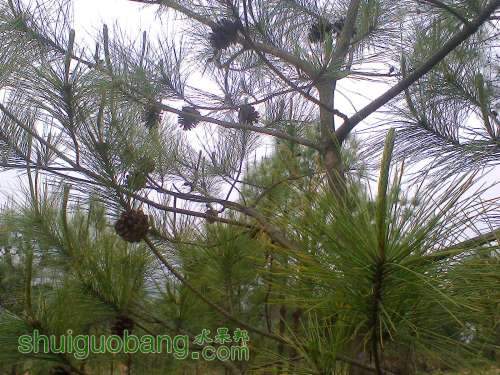 Ƭ0728.jpg