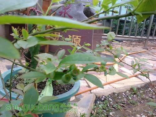 Ƭ0748.jpg