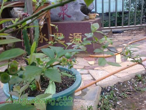 Ƭ0749.jpg