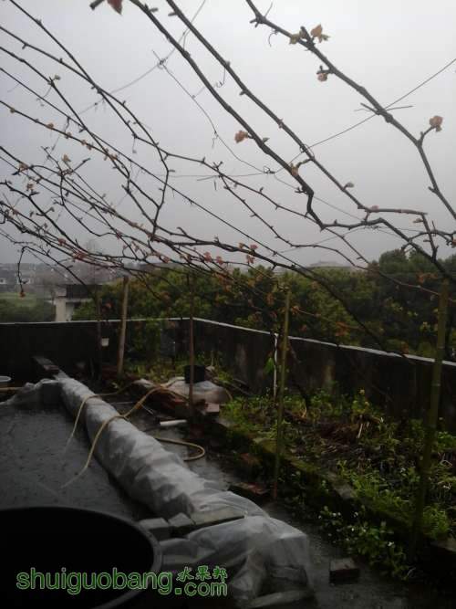 20140330_094134.jpg