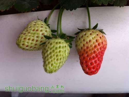 QQͼƬ20140414095533.jpg
