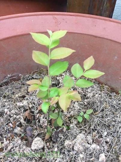 2014-04-12 074431.jpg