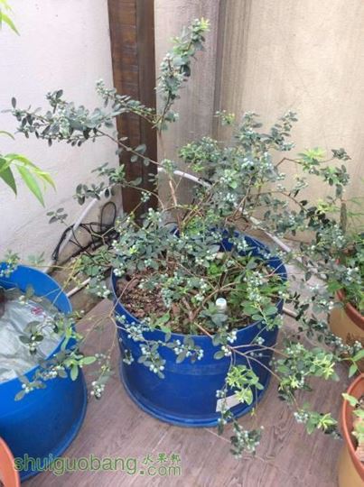 2014-04-12 074514.jpg