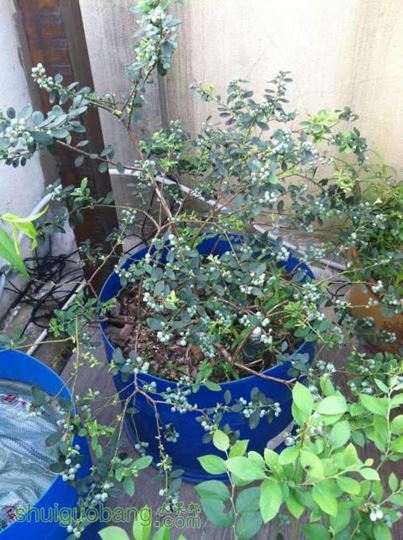 2014-04-13 065820.jpg