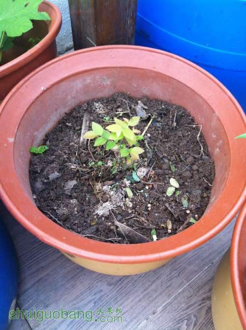 2014-04-13 065834.jpg