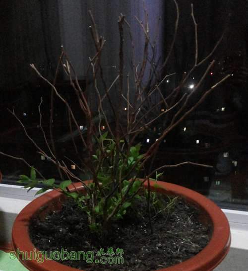 20140331_204744.jpg