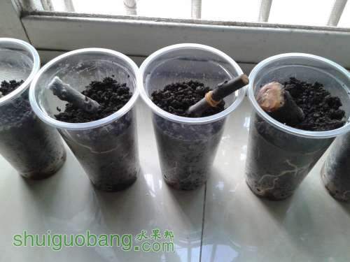 20140414_172435.jpg