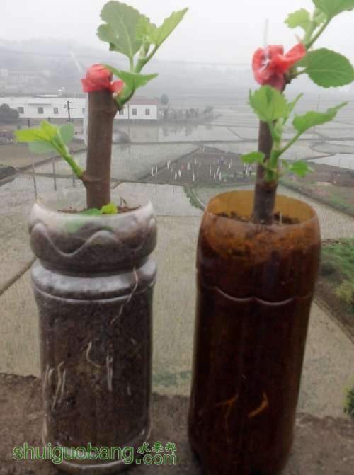 QQͼƬ20140408102621.jpg