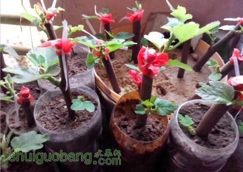 QQͼƬ20140406200145.jpg