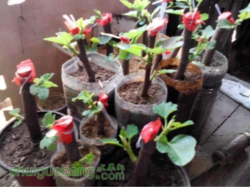 QQͼƬ20140406200159.jpg