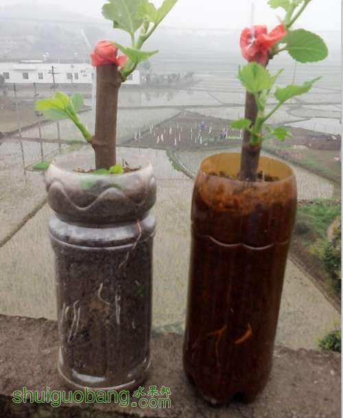 QQͼƬ20140408102514.jpg