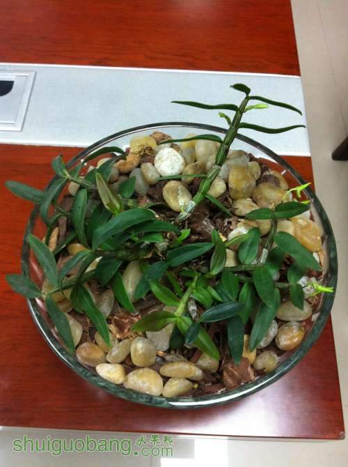 2014-04-14 215157.jpg