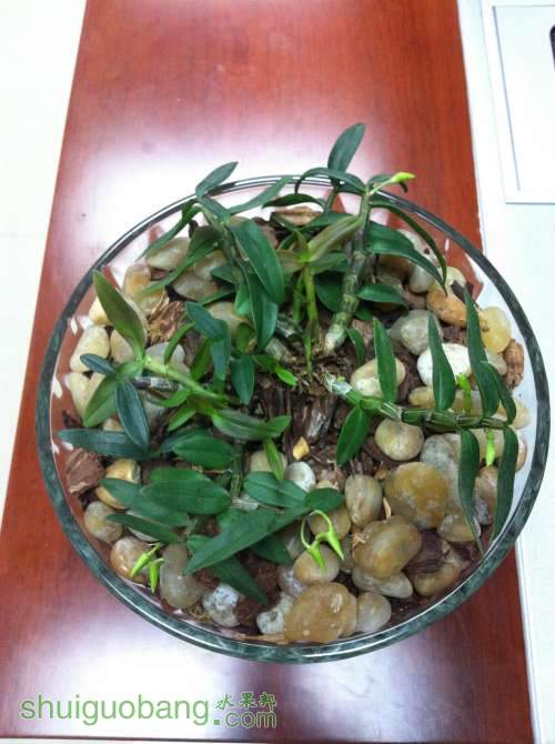 2014-04-14 215231.jpg