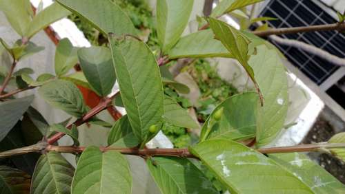 WP_20140329_034.jpg