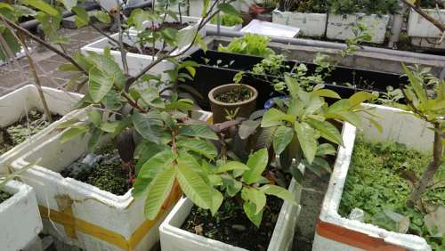 WP_20140329_036.jpg