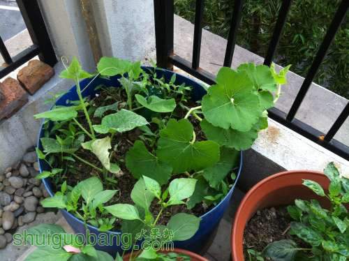 2014-04-15 070045.jpg