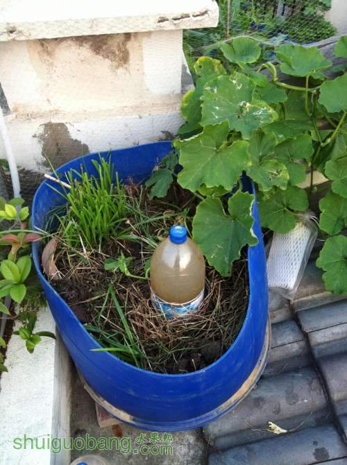 2014-04-15 180659.jpg