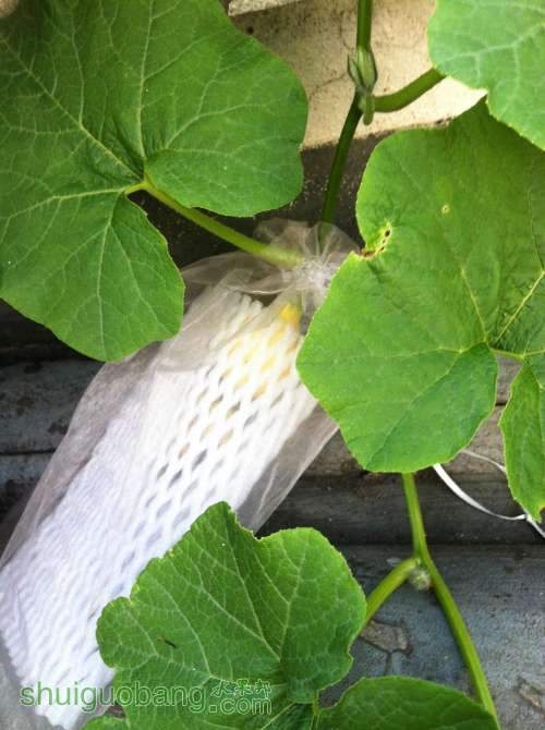 2014-04-15 180816.jpg