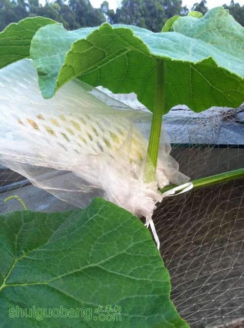 2014-04-15 180833.jpg