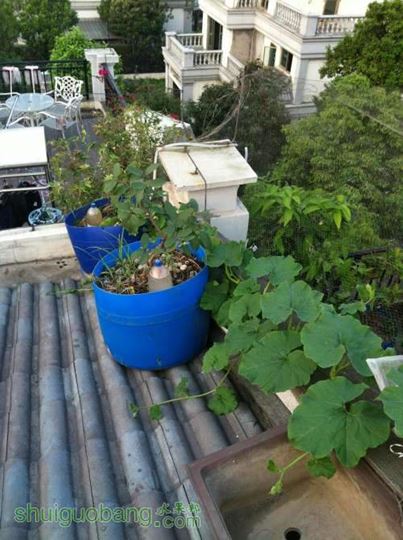 2014-04-15 180921.jpg