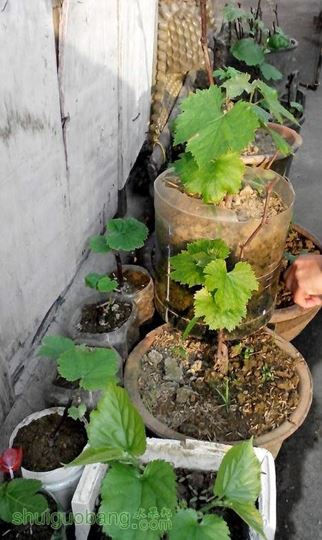 QQͼƬ20140406195955.jpg