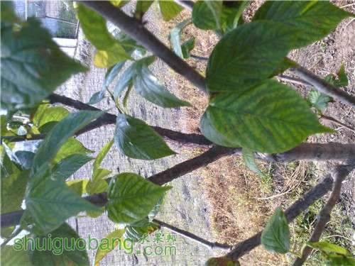 IMG_20140415_085447.jpg