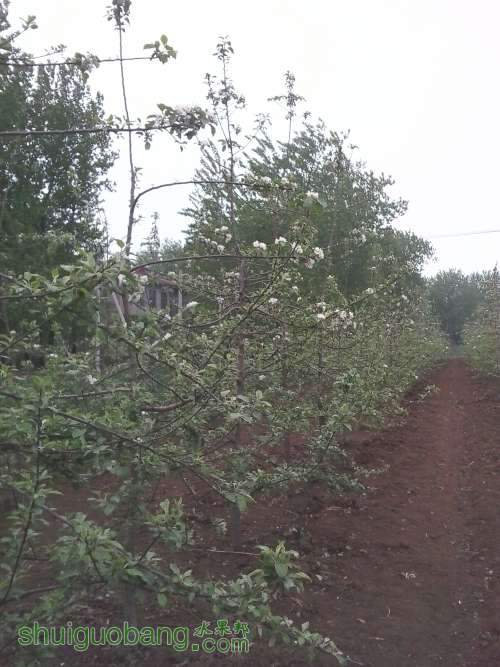20140412_143604.jpg