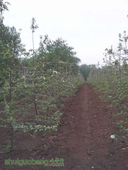 20140412_143318.jpg