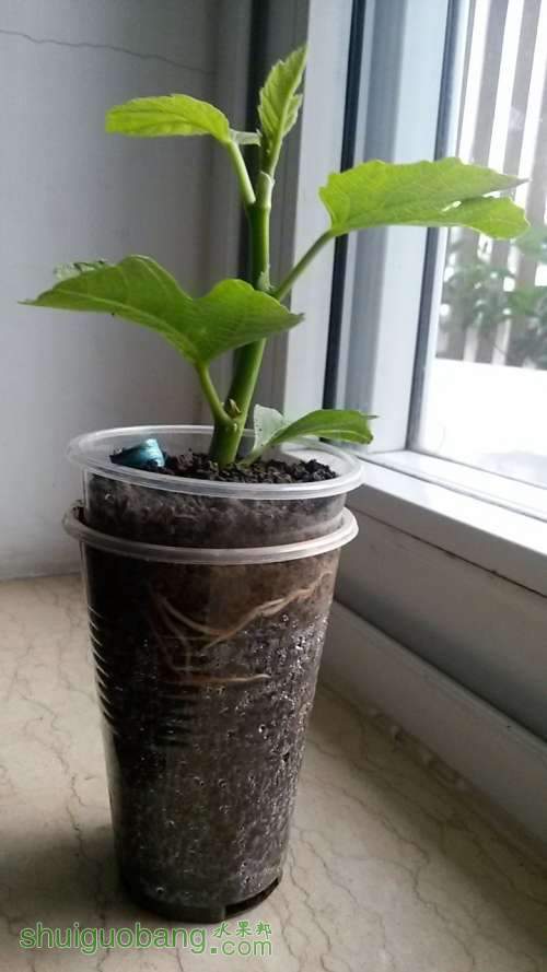 20140415_180411.JPG
