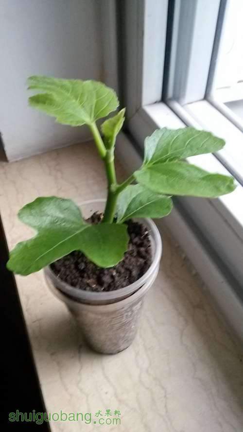 20140415_180447.JPG
