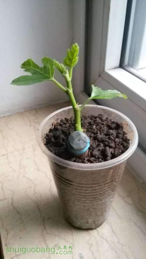 20140415_180707.JPG