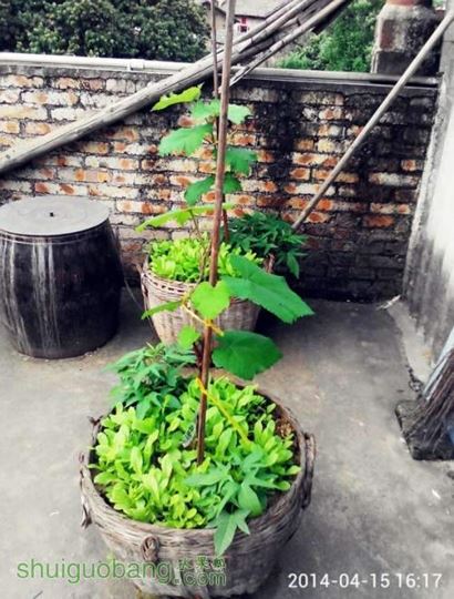 QQͼƬ20140416193504.jpg