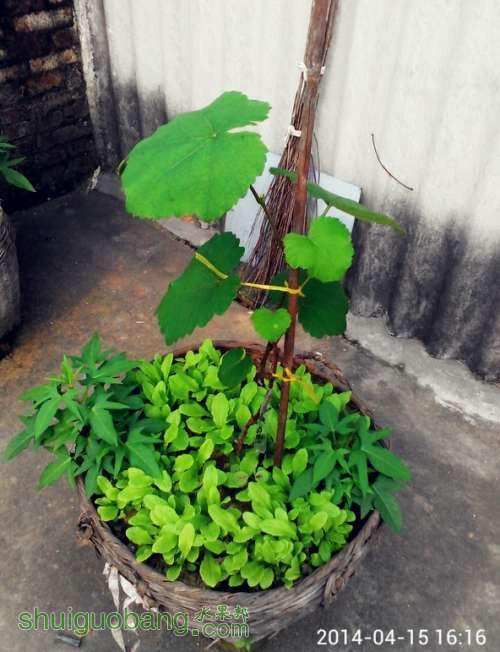 QQͼƬ20140416193337.jpg
