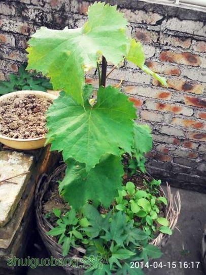 QQͼƬ20140416193423.jpg