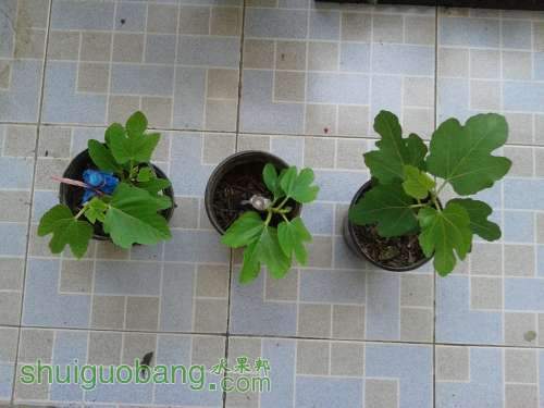 2013-10-03 13.23.04.jpg