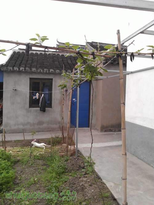 WP_002215.jpg