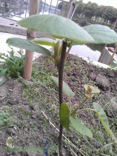 WP_002228.jpg