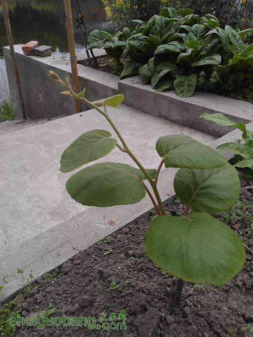 WP_002229.jpg