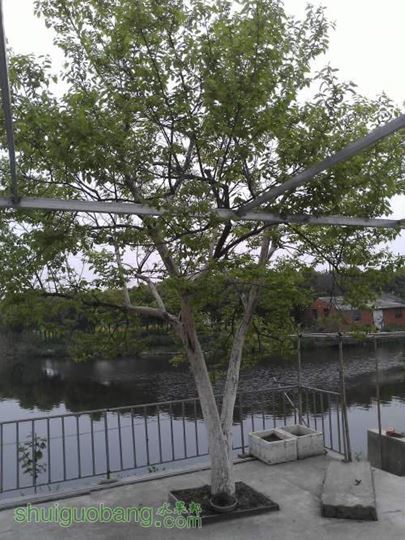 WP_002231.jpg