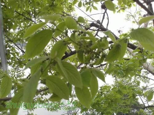 WP_002237.jpg