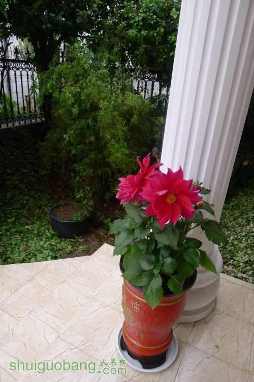 P1030799.JPG