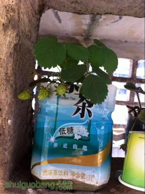 QQͼƬ20140417153417.jpg