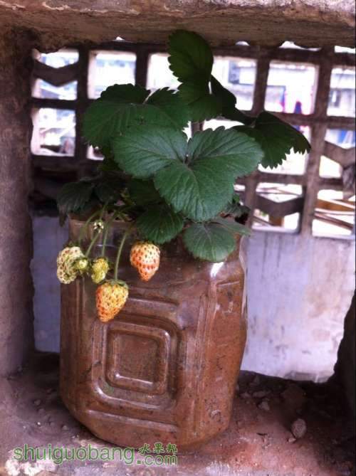 QQͼƬ20140417153427.jpg