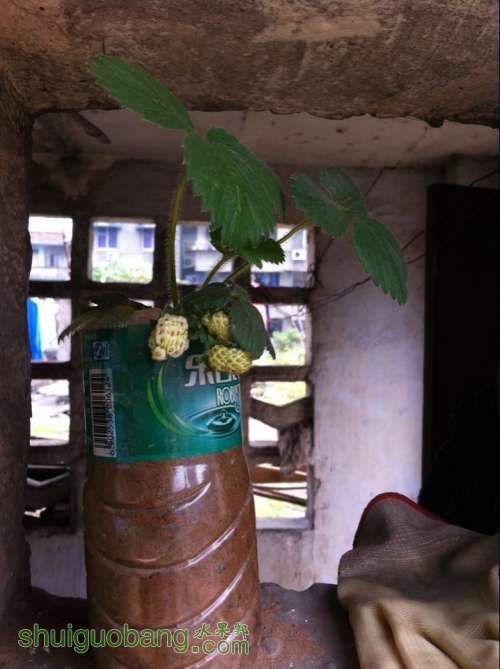 QQͼƬ20140417153445.jpg