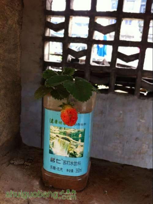 QQͼƬ20140417153449.jpg