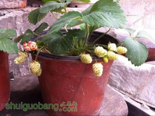 QQͼƬ20140417153500.jpg