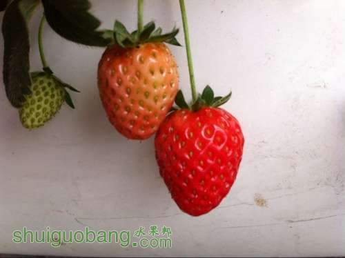 QQͼƬ20140417153523.jpg