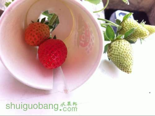 QQͼƬ20140417153550.jpg