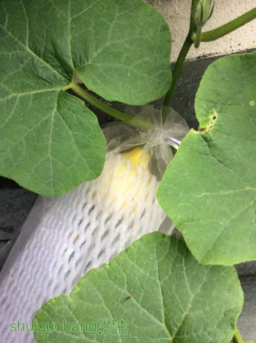 2014-04-16 181306.jpg